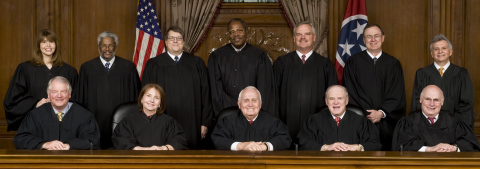 We the People Hall of Judicial Shame: Supreme Court of Tennessee